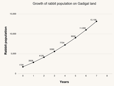 Line graph showing rabbit population growth over time on Gadigal land