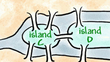 The bridges of Konigsberg Image