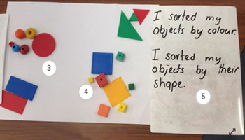 Sorting shapes and objects Image