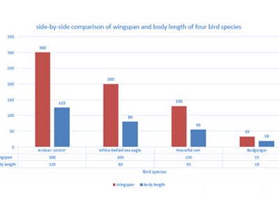 Osprey bird dimensions  Image