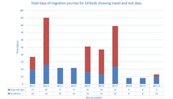 Osprey migration data Image