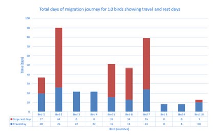 Osprey migration data Image