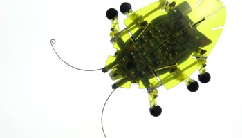 Pythagoras: Cartesian coordinate plane Image