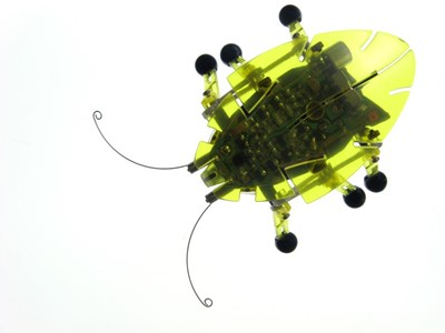 Pythagoras: Cartesian coordinate plane Image