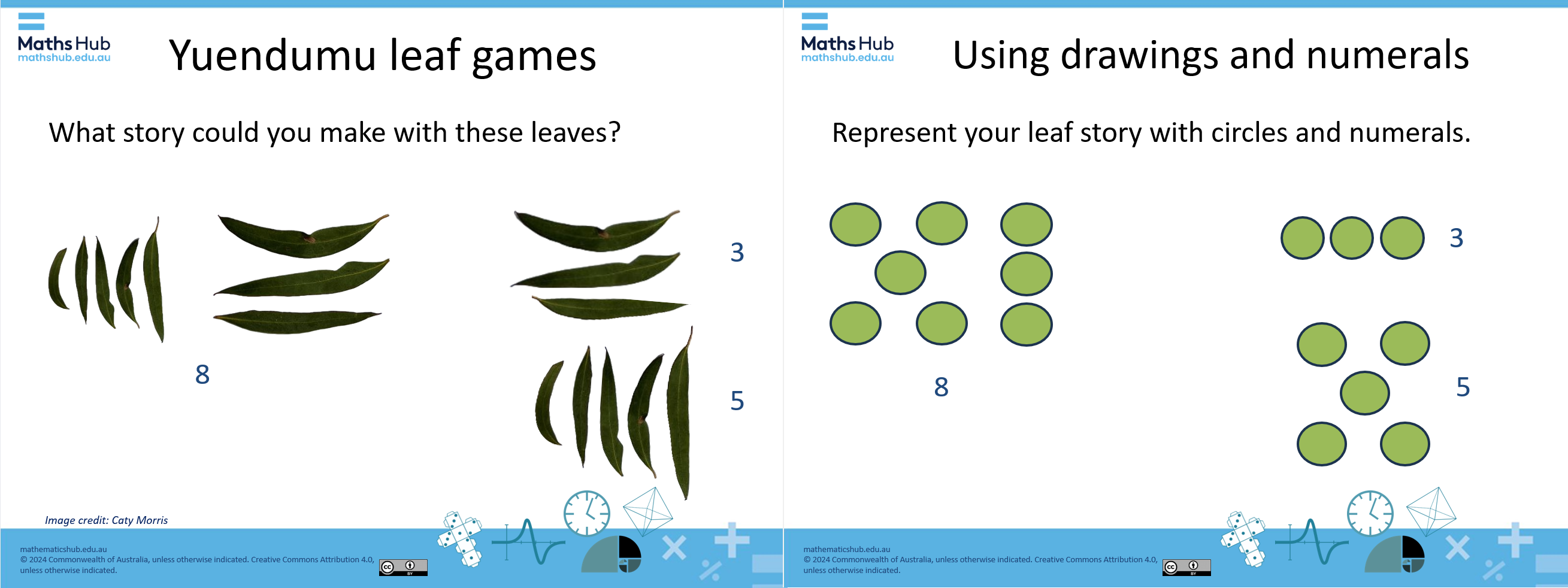 A screenshot of two slides. One shows the leaves a group of 8 leaves, next to it shown as a group of three leaves with a group of 5 leaves. The next slide shows the 8 leaves represented as 8 circles with the 3 circles and 5 circles.