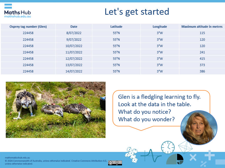 Slide with table of data about osprey. Data is about fledgling osprey learning to fly and altitude reached over a period of two months.